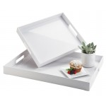 White ABS Room Service Trays